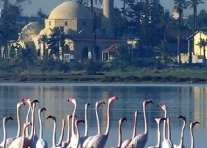 Atlantis Court In Makenzy *